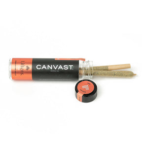 Lifters CBG Premium Hemp Pre Rolls
