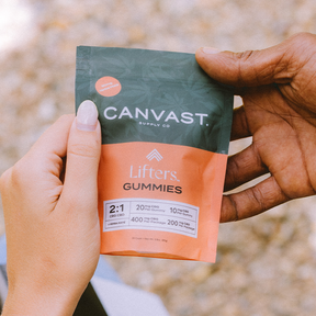 Lifters Energy Gummies with CBG + Yerba Maté